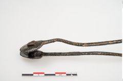 Foto von Bronzeösenzwinge (NHMW-PRAE-025101)